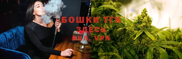 дживик Мегион