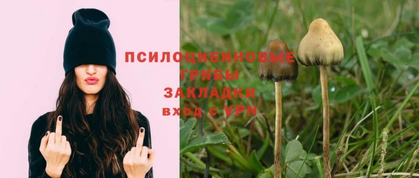 мескалин Медвежьегорск