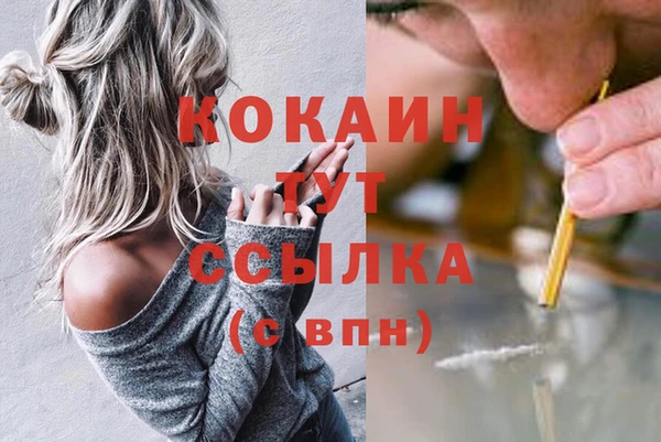 дживик Мегион