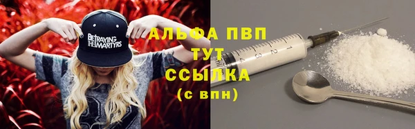 дживик Мегион