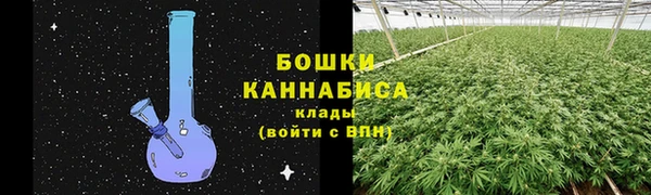 дживик Мегион