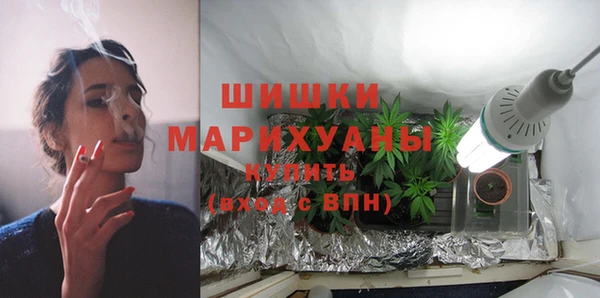 дживик Мегион