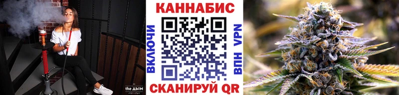 Бошки марихуана сатива  закладка  Александровское 